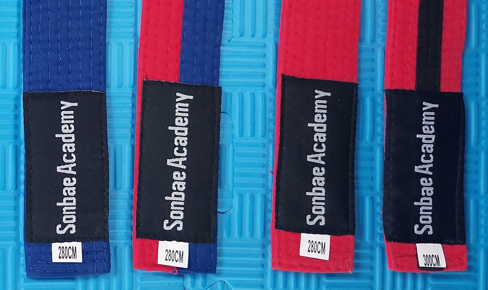 Lire la suite à propos de l’article Nos ateliers poomsae pour les hautes ceintures
