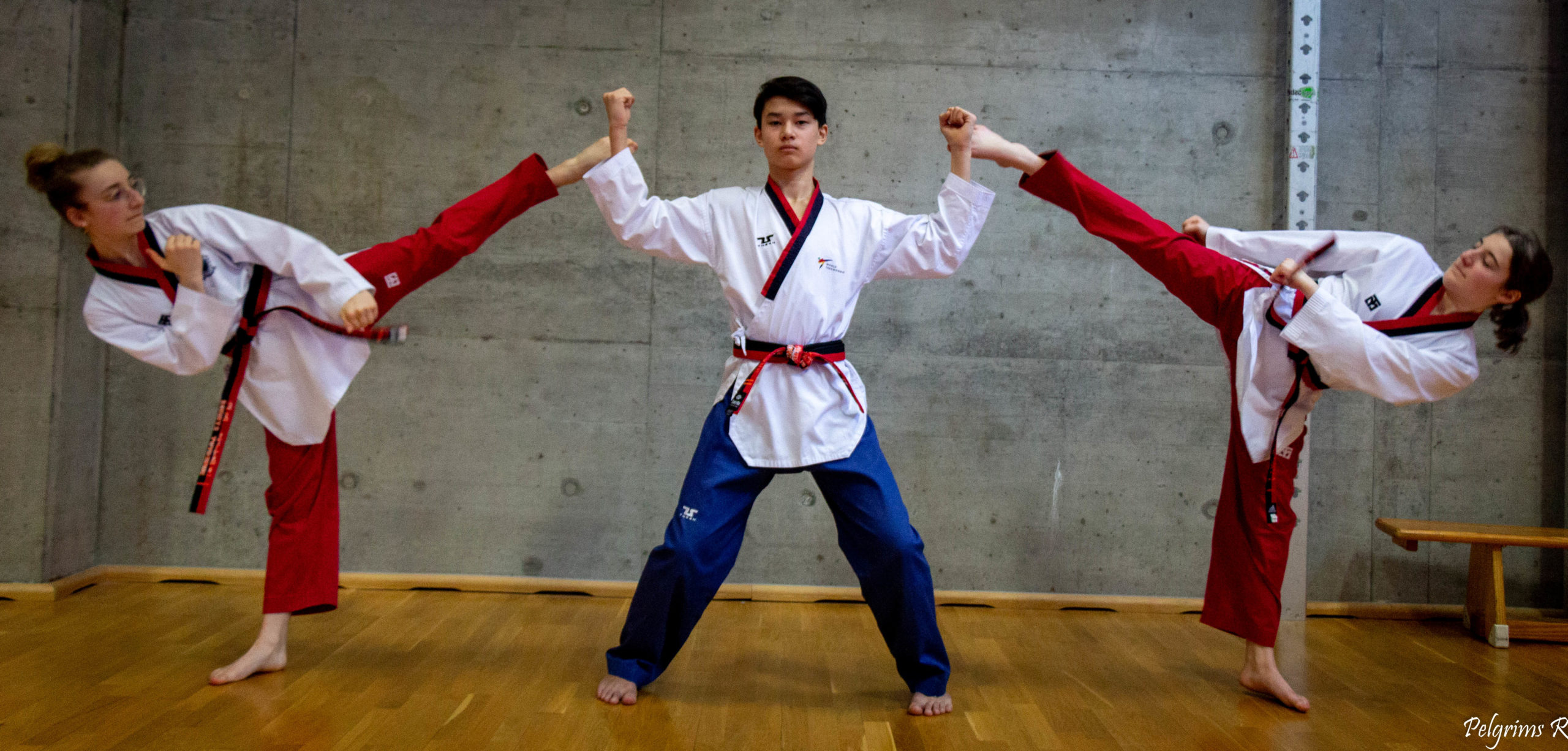 Lire la suite à propos de l’article Nouveautés Saison 2024-25 : Notre offre compétition Poomsae